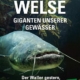 Welse – Giganten unserer Gewässer