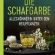 Die Schafgarbe – Alleskönnerin unter den Heilpflanzen