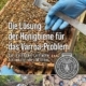 Beekeeping guide cover showing gloved hands handling a hive frame with bees; title discusses solving the Varroa mite problem, with a circular seal and inset images.