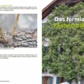 Two-page spread about vine training: left shows young shoots emerging from bark, right shows a house facade heavily covered by a leafy vine with the title 'Das formlose Fächerspalier'.
