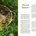 Wicker basket with fresh herbs on grass beside a German magazine spread titled 'Warum Bäume?'