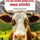 Book cover for a crime novel by Agnes Dorn, featuring a close-up cow in a meadow; title reads 'Es ist nicht alles bio, was stinkt'