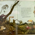 Two-page jungle scene from a children's book with various animals (leopard, monkeys, parrots, toucan, a snake) peeking through dense foliage and a text block on the right page. It feels like a lively rainforest moment.