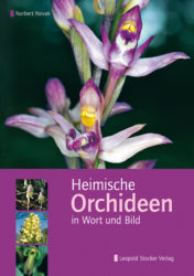 Heimische Orchideen