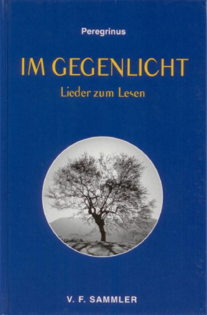 Im Gegenlicht