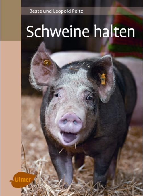 Schweine halten Schweinehaltung mal anders für Hobby