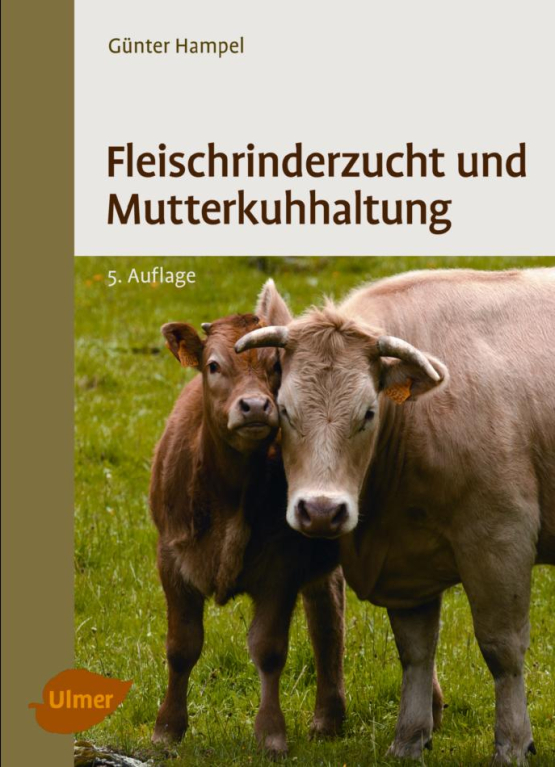 Fleischrinderzucht und Mutterkuhhaltung