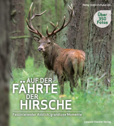 Auf der Fährte der Hirsche