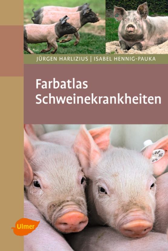 Farbatlas Schweinekrankheiten