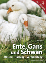 Ente, Gans Und Schwan