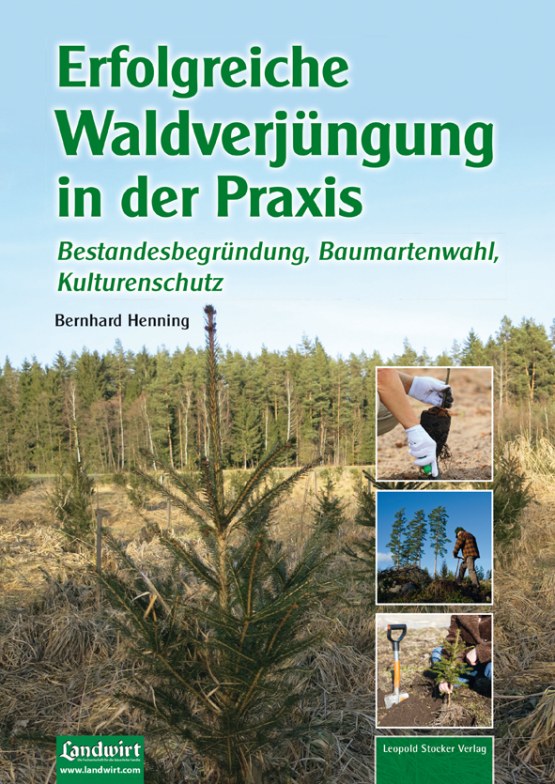 Erfolgreiche Waldverjüngung in der Praxis