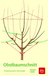 Obstbaumschnitt