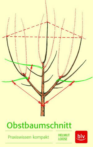 Obstbaumschnitt