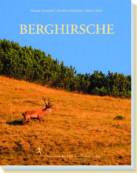 Berghirsche