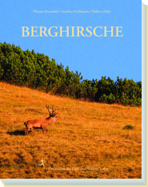 Berghirsche
