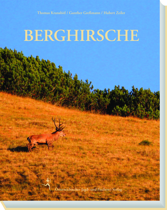 Berghirsche