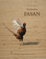Faszination Fasan